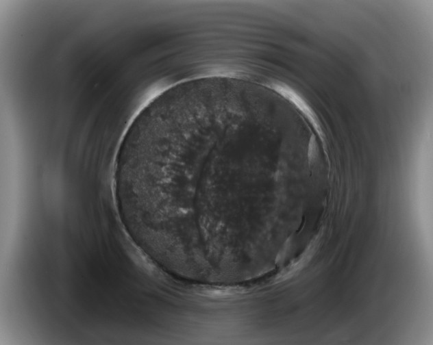 X0000085080899200703121701