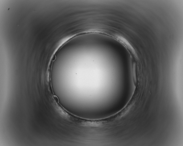 X0000085080900200703121700