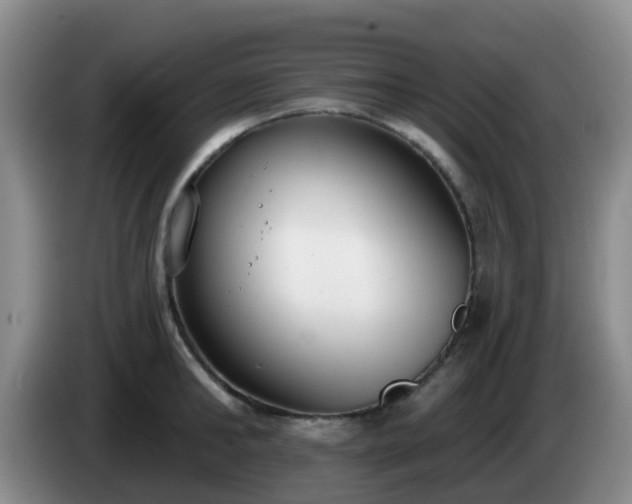 X0000085080902200703121700