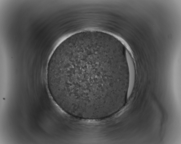 X0000085080903200703121700