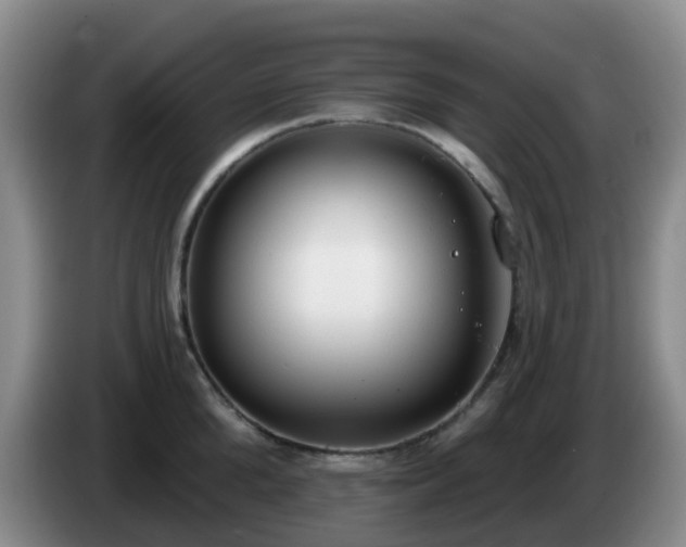 X0000085080904200703121700