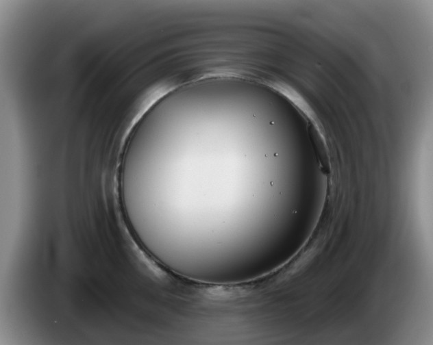 X0000085080906200703121700