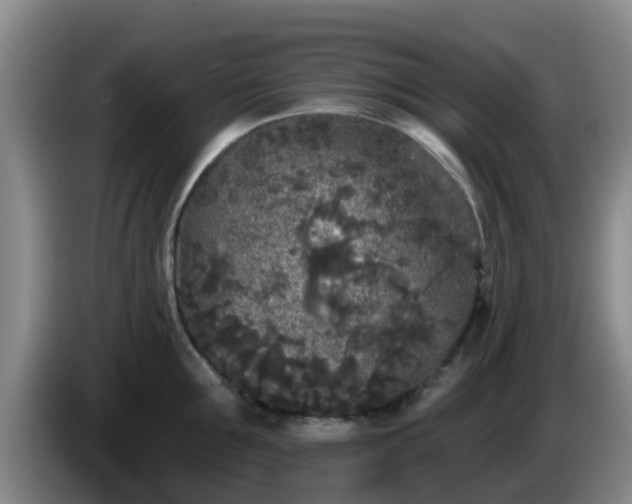 X0000085080907200703121700