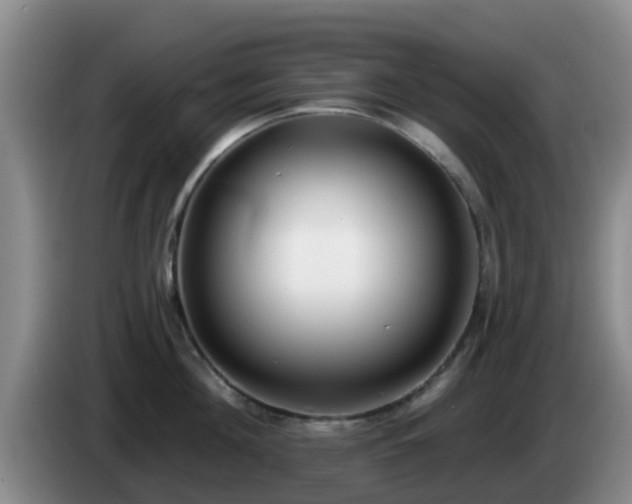 X0000085080908200703121700