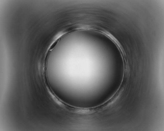 X0000085080909200703121700