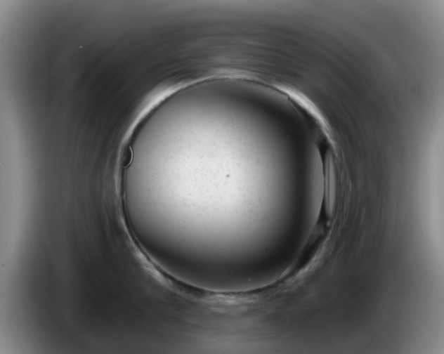 X0000085080910200703121700