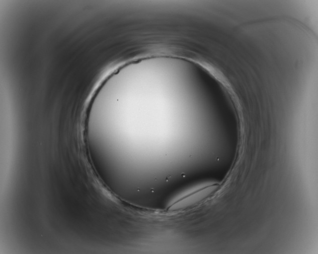 X0000085080912200703121700