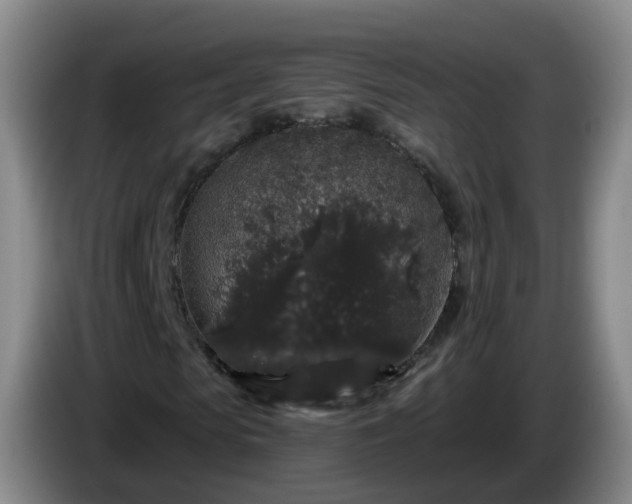 X0000085080913200703121700