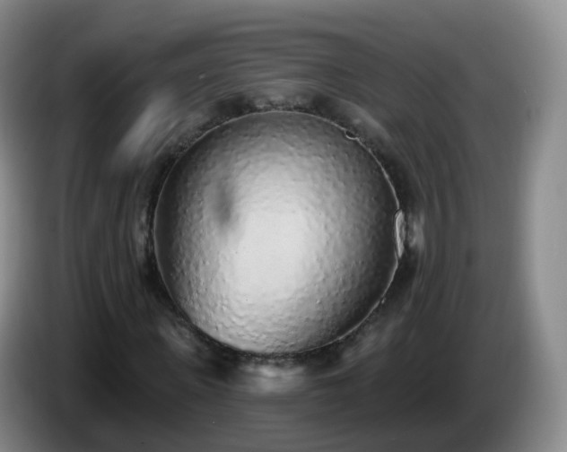 X0000085080915200703121700