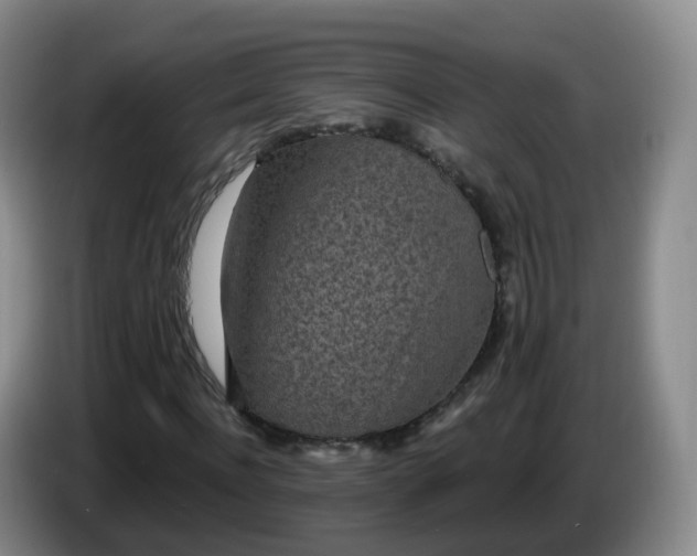 X0000085080916200703121700