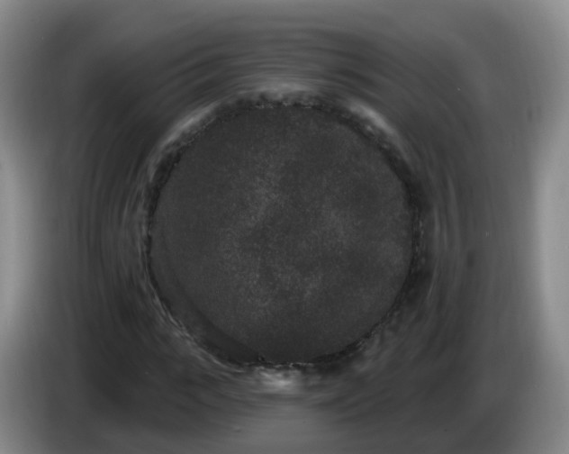 X0000085080919200703121700