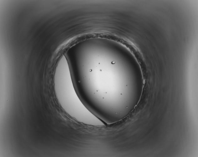 X0000085080920200703121700