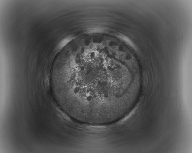 X0000085080921200703121700