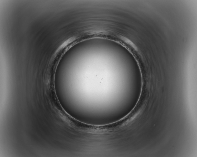 X0000085080922200703121700