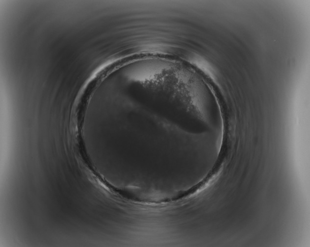 X0000085080923200703121700