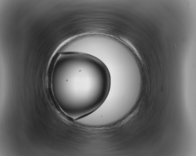 X0000085080924200703121700