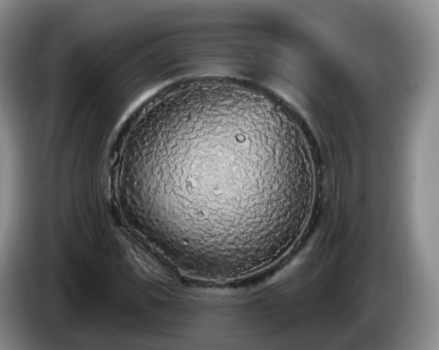 X0000085080925200703121700