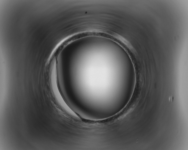 X0000085080926200703121700