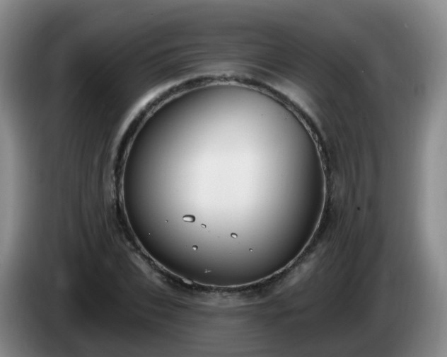 X0000085080927200703121700