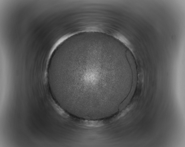 X0000085080928200703121700