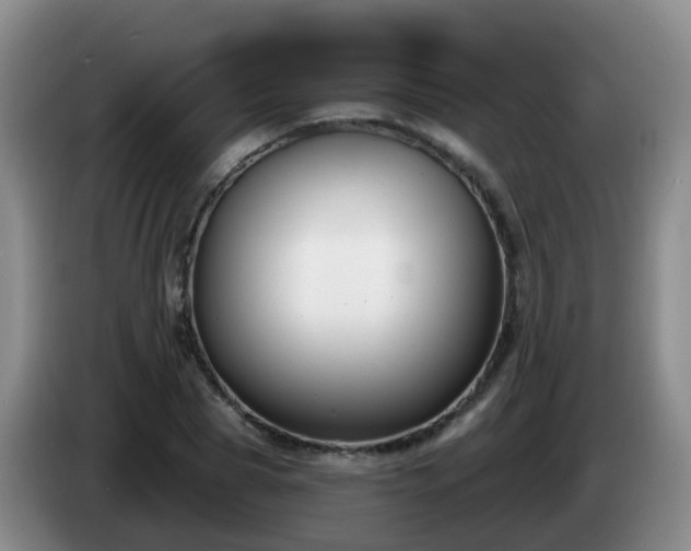 X0000085080929200703121700