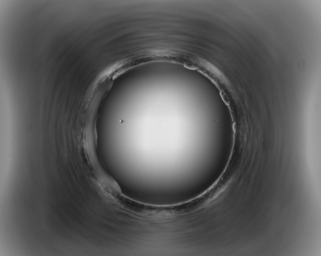 X0000085080930200703121700