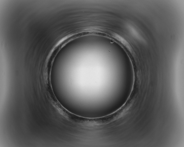 X0000085080931200703121700