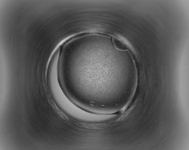 X0000085080932200703121700