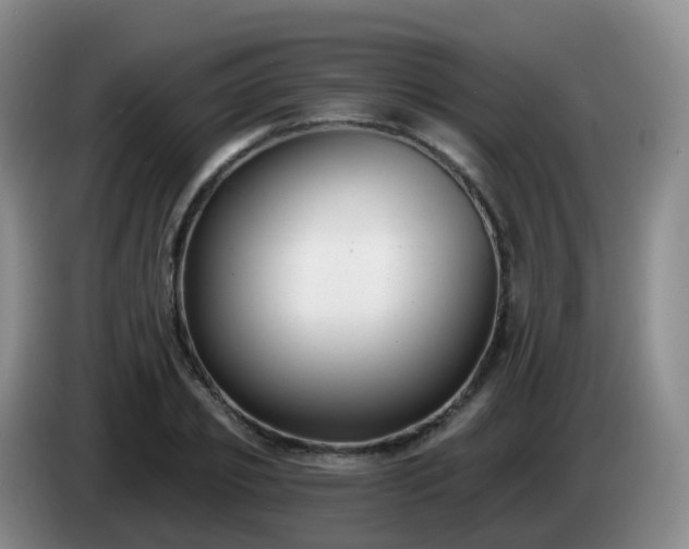 X0000085080933200703121700