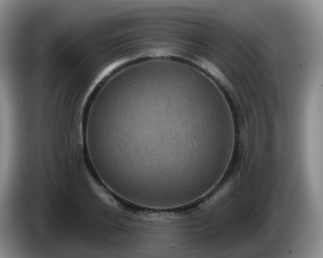 X0000085080934200703121700