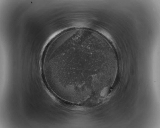 X0000085080935200703121700