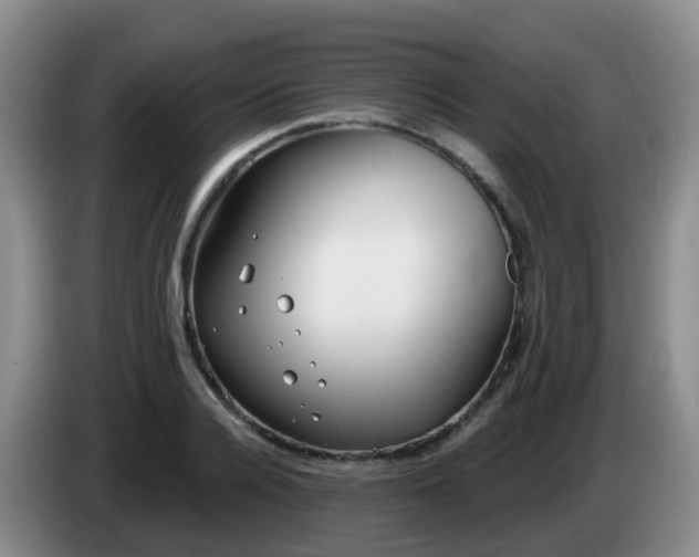 X0000085080936200703121700