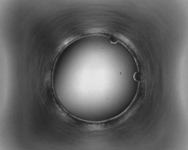 X0000085080937200703121700