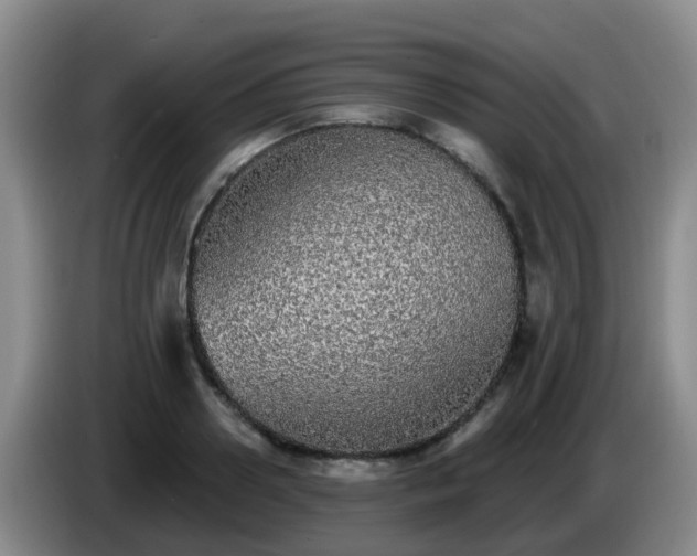 X0000085080938200703121700