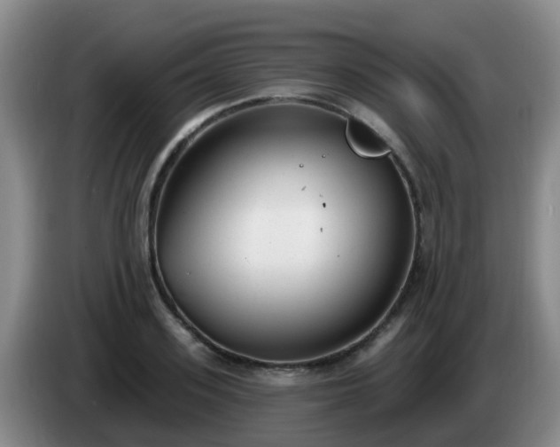 X0000085080939200703121700