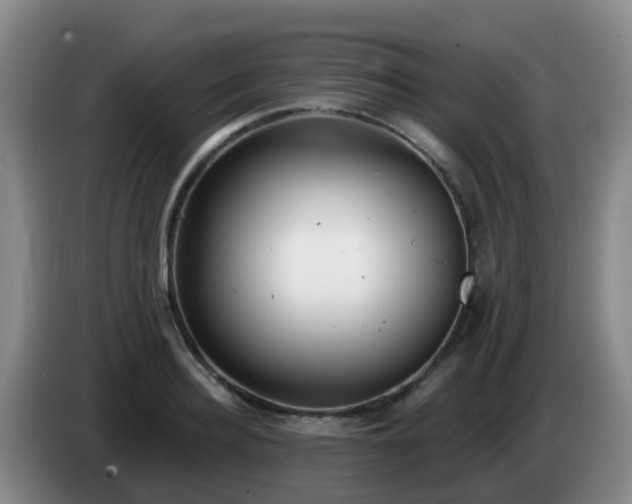 X0000085080940200703121700