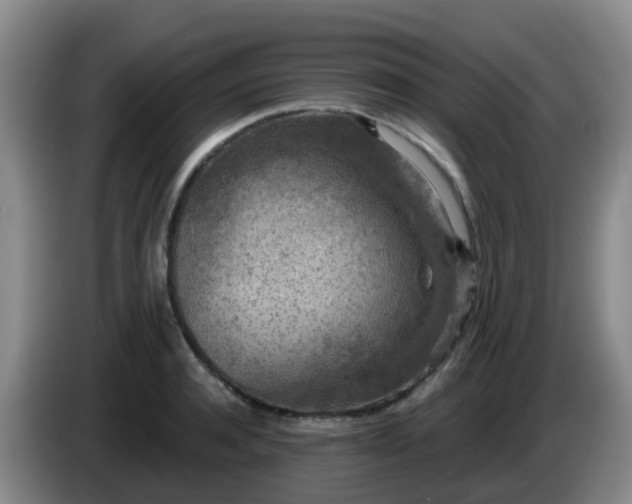 X0000085080944200703121700