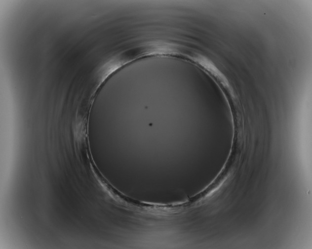 X0000085080945200703121700