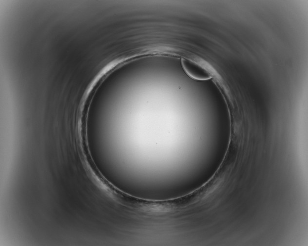 X0000085080947200703121700