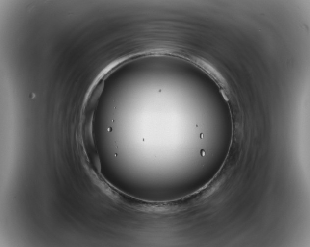 X0000085080948200703121700