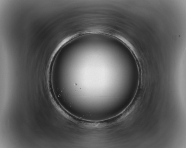 X0000085080949200703121700