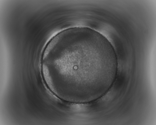 X0000085080950200703121700