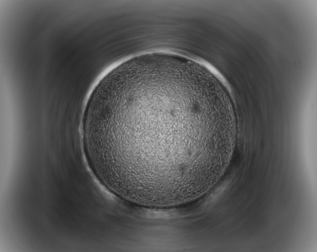 X0000085080951200703121700