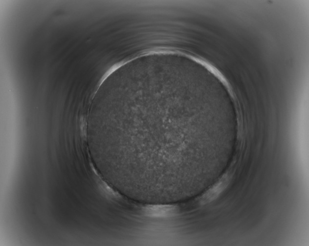 X0000085080953200703121700