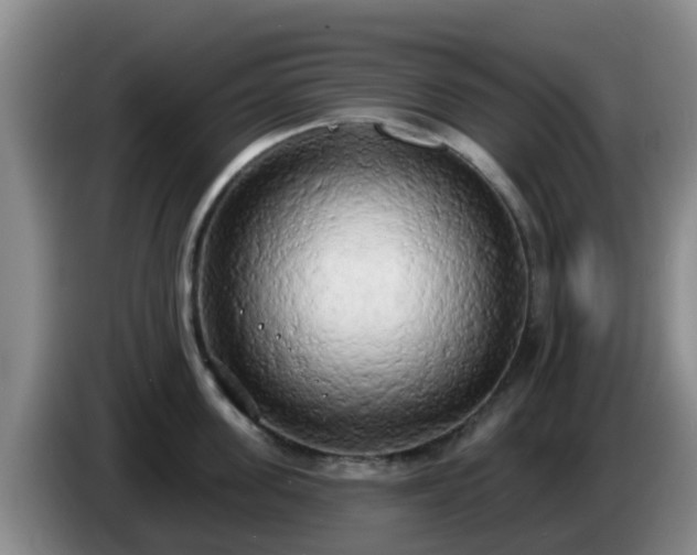 X0000085080955200703121700