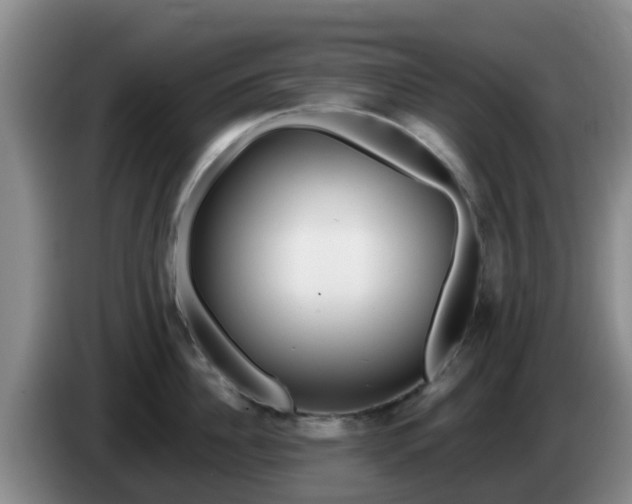 X0000085080956200703121700