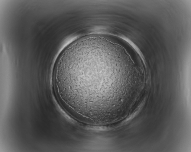 X0000085080957200703121700