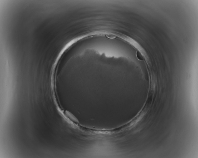 X0000085080958200703121700