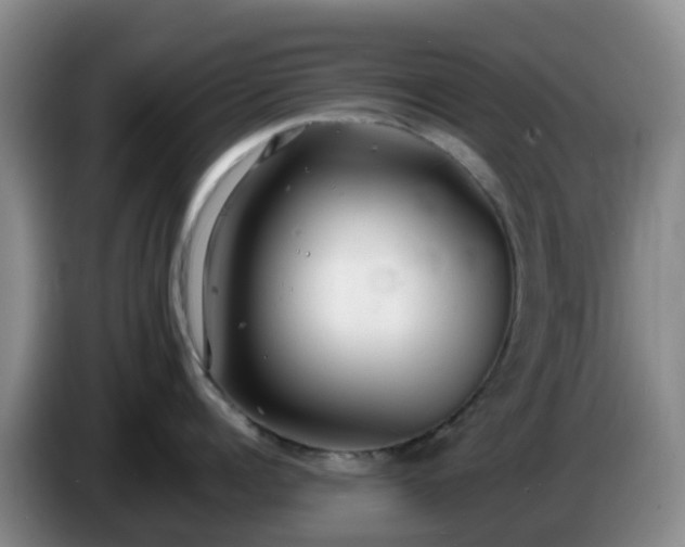 X0000085080960200703121700