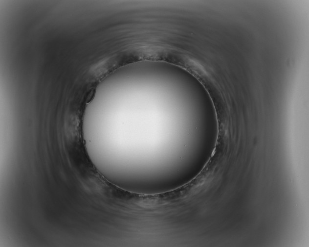 X0000085080964200703121700